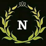 noble roofing logo