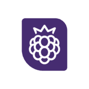Blackberry Hearing logo