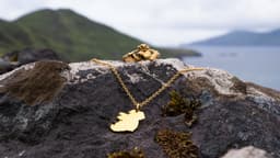 Fior Jewellery logo