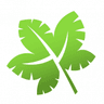 Sycamore Gardening & Landscaping