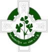 Newry Shamrocks GAA