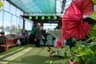 Dundalk Garden Centre