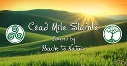 Back to Nature Health Store logo