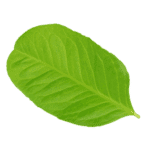 GardenPro logo