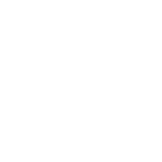 Leixlip Manor Hotel logo