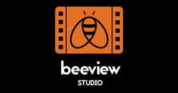 Beeviewstudio.ie videography logo