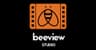 Beeviewstudio.ie videography