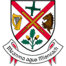 Kildare County Council Transport