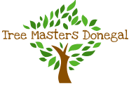 Tree Masters Donegal logo