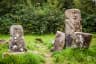 Boa Island (Dreenan) Statues