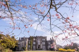 Birr Castle Demesne logo