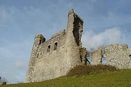Dunmoe Castle logo