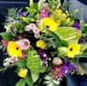 Castleknock Flowers