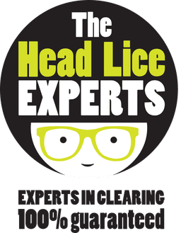 The Head Lice Experts Galway logo