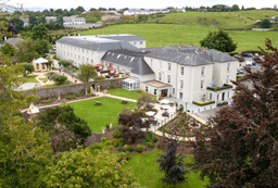 County Arms Birr logo