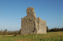 Ballylarkin Abbey logo