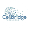 Celbridge Wellness Psychotherapy & CBT