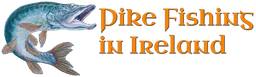 Tir na Spideoga Guesthouse logo