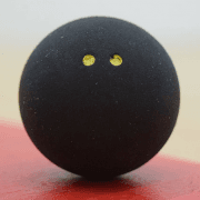 Ballyshannon Squash Club logo
