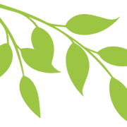 Abbey Blooms Botanical Gardens & Café logo