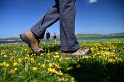 Footfalls Walking Holidays Ltd logo