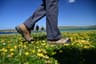 Footfalls Walking Holidays Ltd
