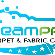 SteamPRO logo