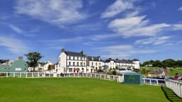 The White Harte logo