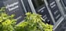 ChapterHouse - Entara Group