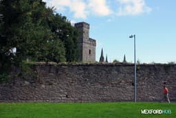 Wexford town Walls logo