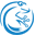 Rolling Toad Design