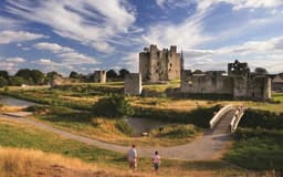 Trim Castle logo