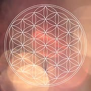 Inner Wisdom Healing logo
