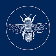 Bee Media | Social Media Management logo