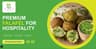Safco Fine Food Ltd