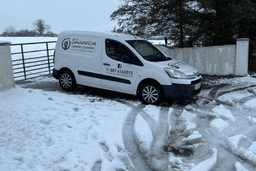 Shannon’s Chimney Cleaning logo