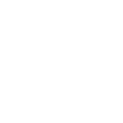 Brow Bliss logo