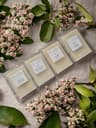 Ellen and Rose Luxury Candles and wax mellts