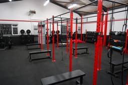 SFX Sports And Fitness logo