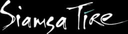 Siamsa Tíre - Theatre & Arts Centre logo