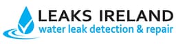 Leaks Ireland logo