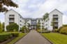 Canvas Cuirt na Coiribe | Summer Accommodation in Galway