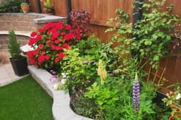 Lush Landscaping Cork logo