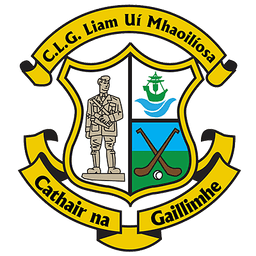 Liam Mellows GAA Club logo