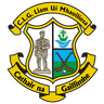 Liam Mellows GAA Club