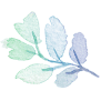 Psychotherapy and Counselling Services Sylwia Kuchenna logo