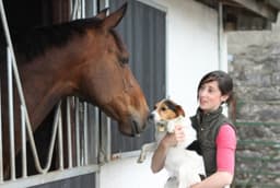 Ruth Boland Animal Physiotherapy logo