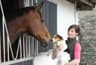 Ruth Boland Animal Physiotherapy