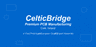 Celtic Bridge Limited