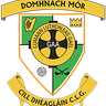 Donaghmore Ashbourne GAA Club